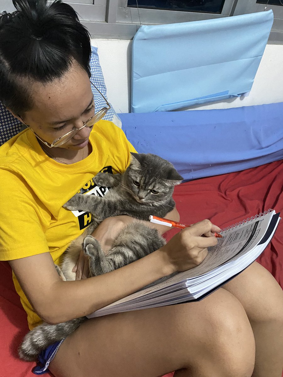 mookieperscot's tweet photo. mommy i dont want to study with you

#CatsOfTwitter #catsofph #catlovers #catsofmanila #medstudenttwitter #medstudentph #ple2022 https://t.co/7QhzYiZ0lj