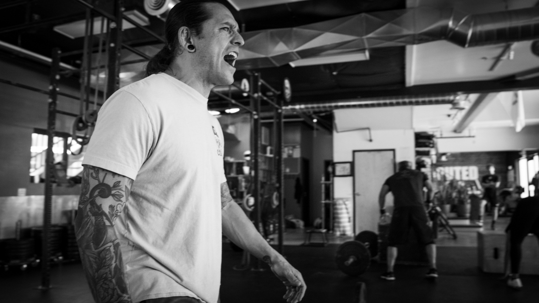 Undisputed Fitness tweet media