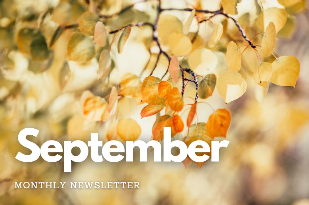 Our Monthly Newsletter is out! Take a look at what we have planned for the month of September.

uucmp.org/wp-content/upl…