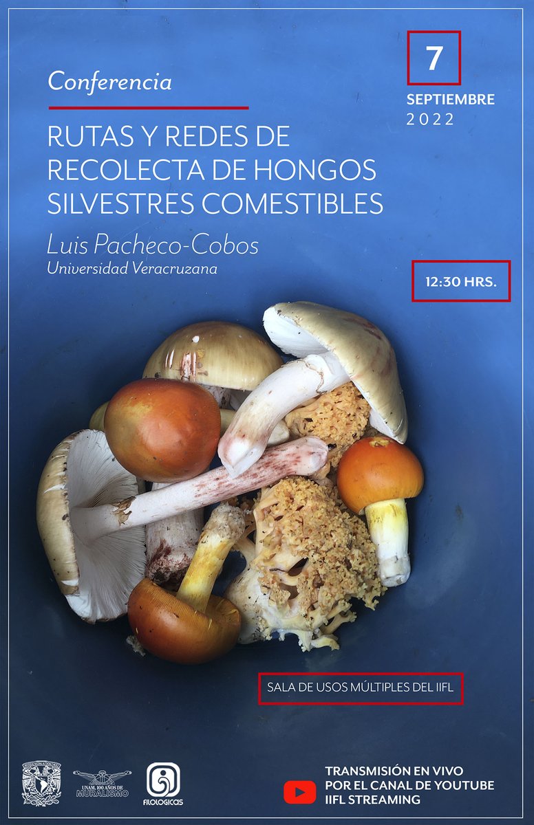 Carolyn O'Meara tweet media