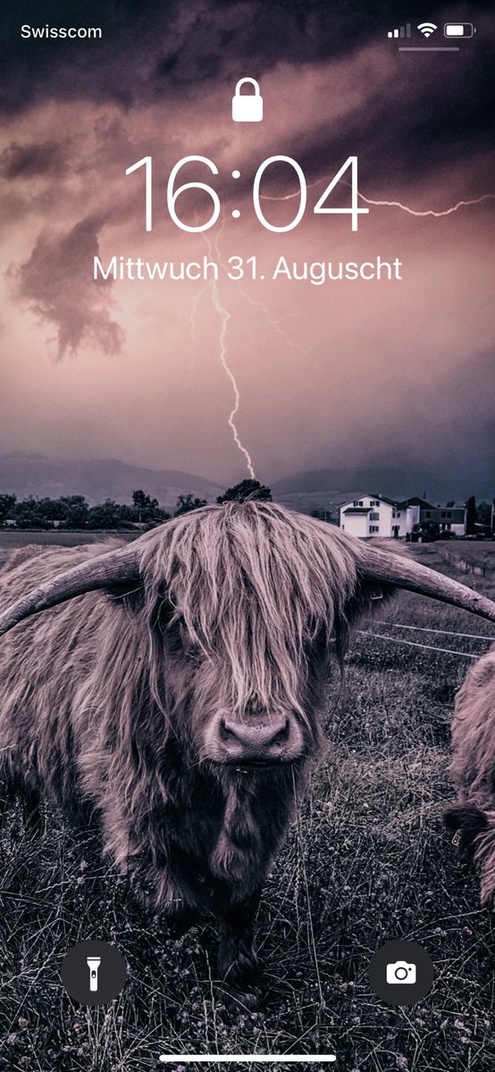 commafactory's tweet photo. @ThBenkoe Den See habe ich nicht erkannt. Aber bei mir herbstet es auch schon 🐮🌫
#ShowYourLockscreen https://t.co/6N7iW7uxV5