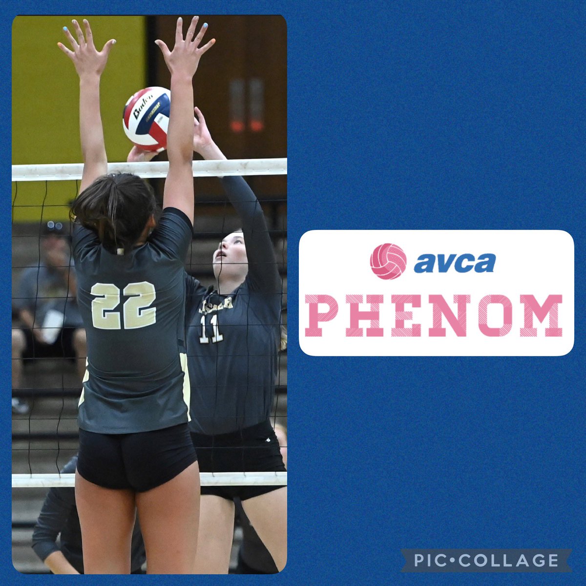 LoogooteeVball's tweet photo. Congratulations to Junior @madison_2214 for being named to the @AVCAVolleyball Phenom Watch List!! https://t.co/g7f7LnrHAQ