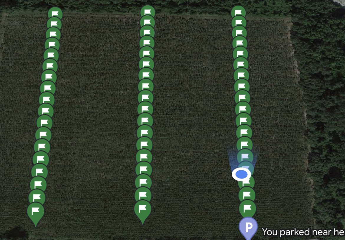 UF_HAEC's tweet photo. Grid soil sampling is a fundamental piece for precision ag. Primary use: variable rate application of fertilizers. It can help growers reallocate the fertilizer dollar to where it needs to go within the field. #precisionagriculture @UF_HAEC @UF #gridsoilsampling https://t.co/UaX4Wmf86U