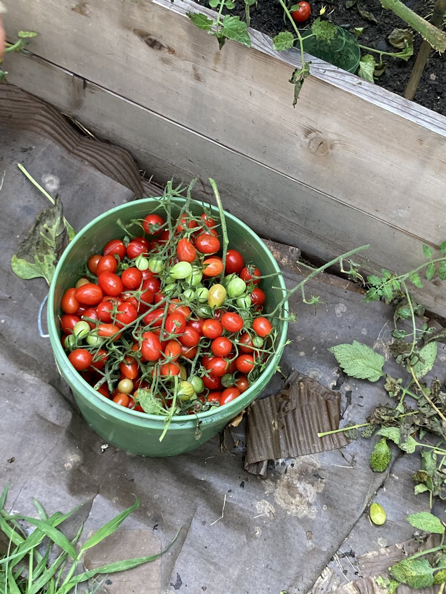 PMorcone tweet media