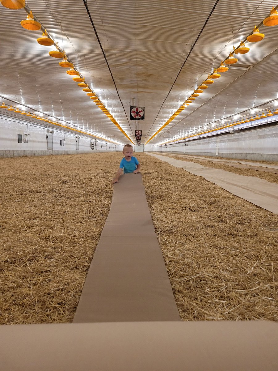 Jeremy Prinzen tweet media