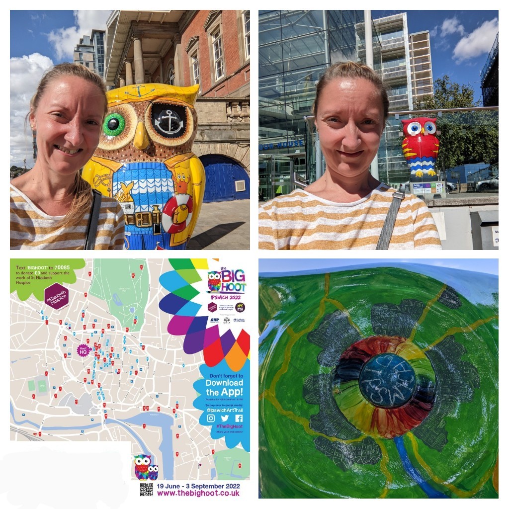 booglebonds's tweet photo. @ipswicharttrail all 50 Big Hoots found in 3hrs 40 🦉👣 #tonsoffunforeveryone https://t.co/xXsQDK36IA