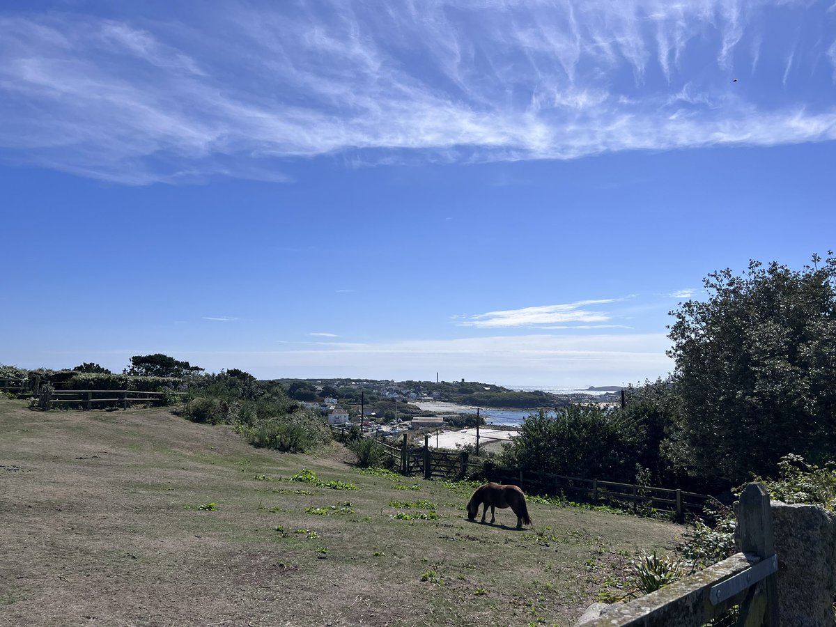 tommo_85's tweet photo. Day trip to The Scilly Islands ๐ฌ โ๏ธ #bitbreezy https://t.co/KPd6d6nVLM