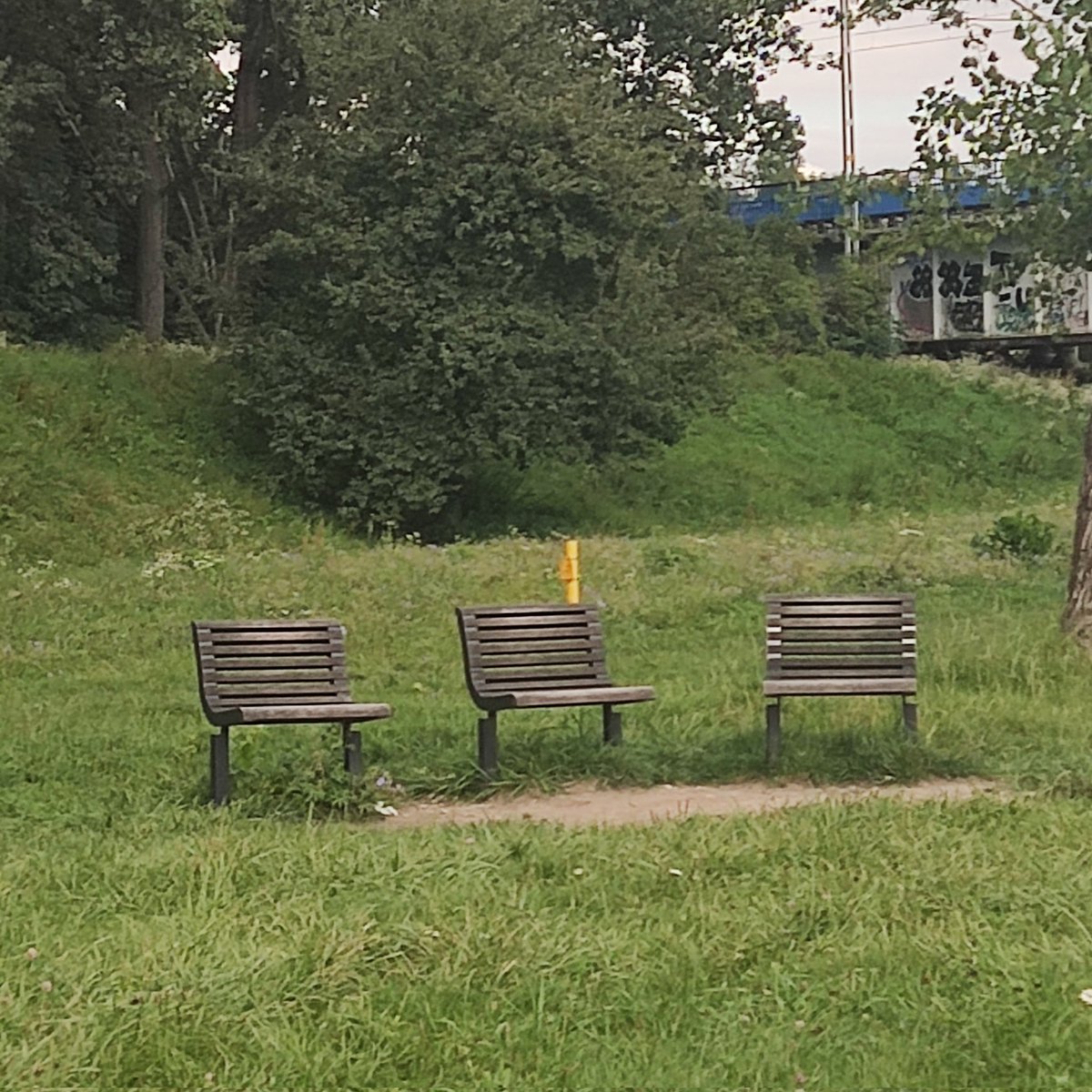 yuloxyz's tweet photo. bench trio https://t.co/VD62NernF0