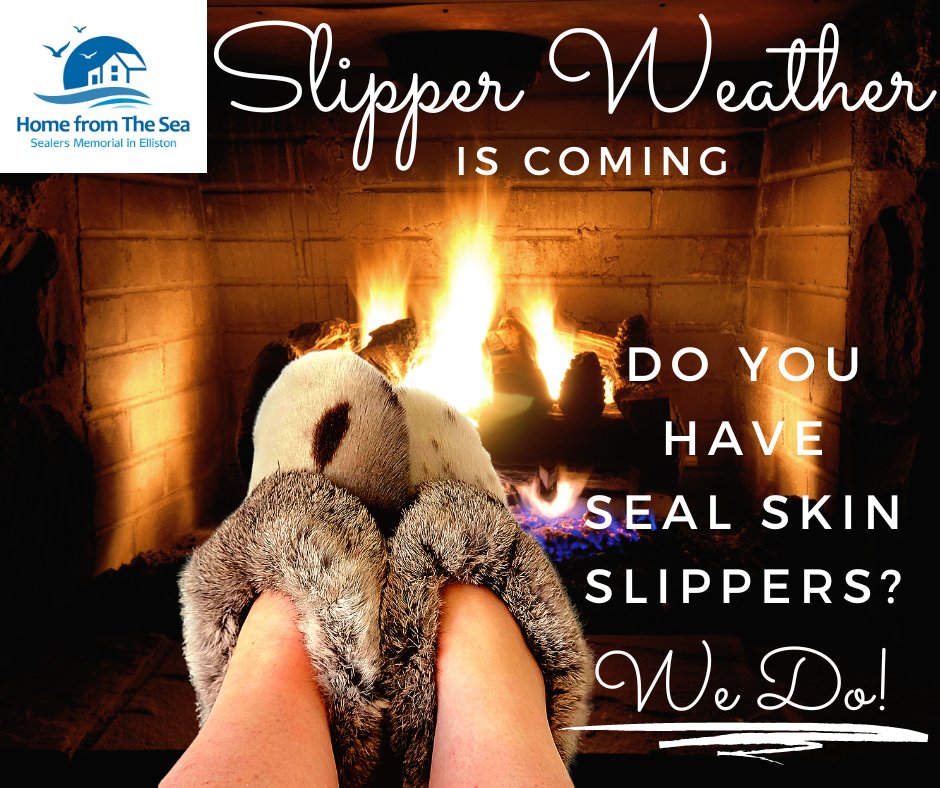 #ComeHome2022 #exploreNL