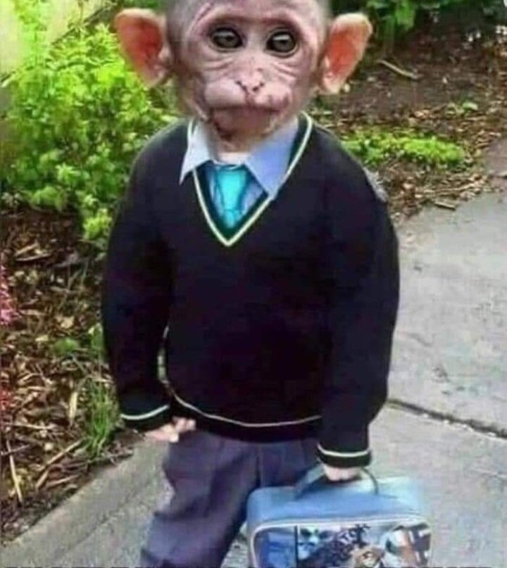 Listo a clases.
Excelente miércoles 👍🏼🤣