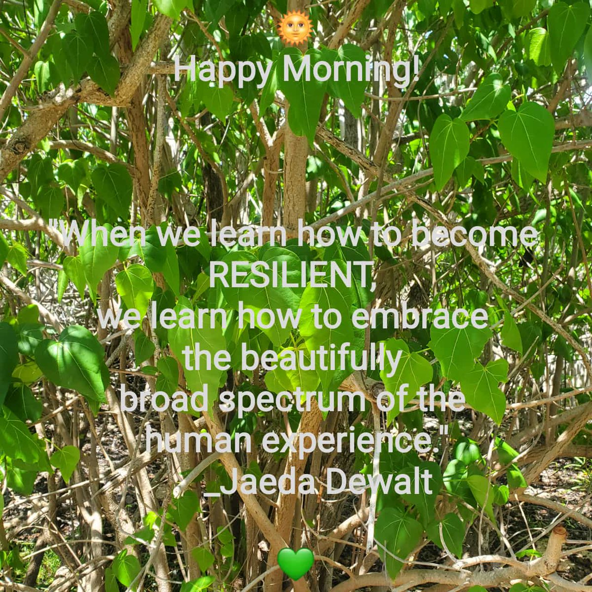 IlaIdeliza's tweet photo. https://t.co/UbNbwQWvSY