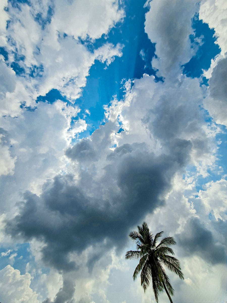 SadeshMagic's tweet photo. Too gorgeous of a sky not to share!#skies #sky #fluff #cloudmountain #cloudy #blue #nature #samsung #wideangle #note20ultra https://t.co/hhY9lmKVjE