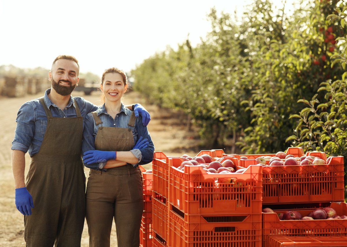 FBRJournal (@fbrjournal) on Twitter photo Prof. Marques and colleagues identify similarities and differences in the succession willingness of family firms
doi.org/10.1177/089448… Prof. Marques and colleagues identify similarities and differences in the succession willingness of family firms
doi.org/10.1177/089448…