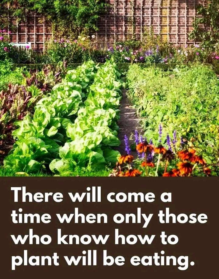 ClimateKakuma's tweet photo. Time will come one day if we misuse the resources around us (environment)
#ClimateEmergency #climatekakuma #climate #ClimateActionNow #nature https://t.co/dS8IYtbLVz