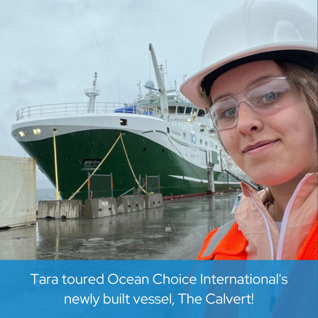 oceancareersnl's tweet photo. Our Summer Intern, Tara, was given a tour of the newest vessel from @OceanChoice and was introduced to both the Ship Captain and Chief Engineer. ⚓️
The Calvert provides a variety of the best-tasting #groundfish in the world and is an impressive 74 metres long!
#ShipBuilding https://t.co/VF1NLba0kr