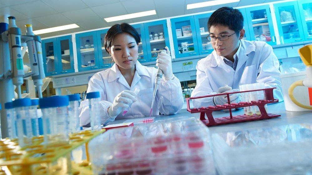 📢<a href="/SCELSE_SG/">SCELSE</a> and <a href="/NTUsg/">NTU Singapore</a> are seeking Associate Professors in in Microbial #Biofilm Biology and Medical #Biofilms and Public Health to establish globally recognised research programmes. 

Find out more and apply ➡️ bit.ly/3cvWs8b 

#job #vacancy #university #singapore