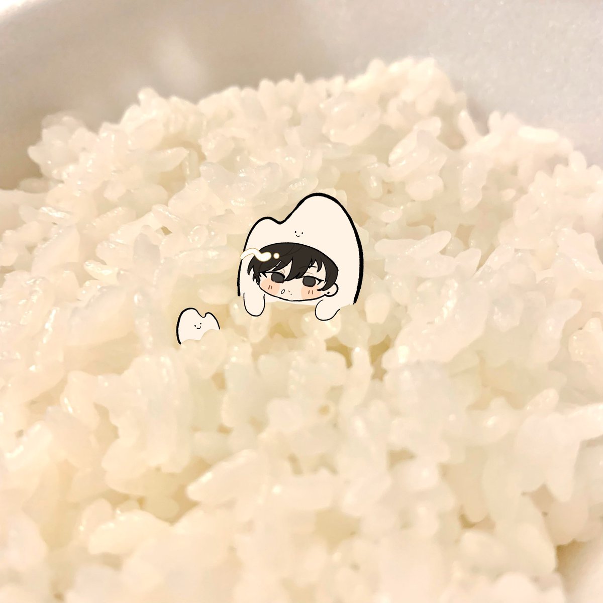 goki_argn's tweet photo. 🍚 https://t.co/iWnICUZljT
