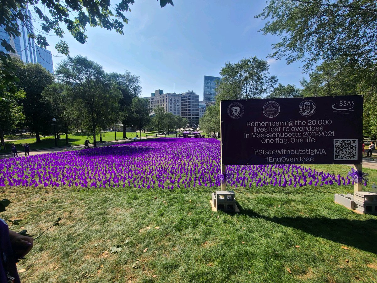 Colleen LaBelle, MSN RN-BC CARN tweet media