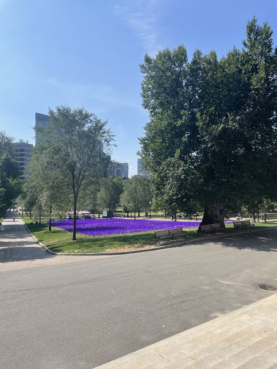 Colleen LaBelle, MSN RN-BC CARN tweet media