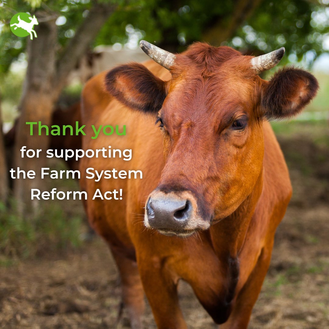ciwfusa's tweet photo. For animals, people, and the future of our planet, we must end factory farming. Thank you @RepJudyChu for your support of H.R.4421!

#EndFactoryFarming #FarmSystemReformAct https://t.co/6jrsrwvHx5