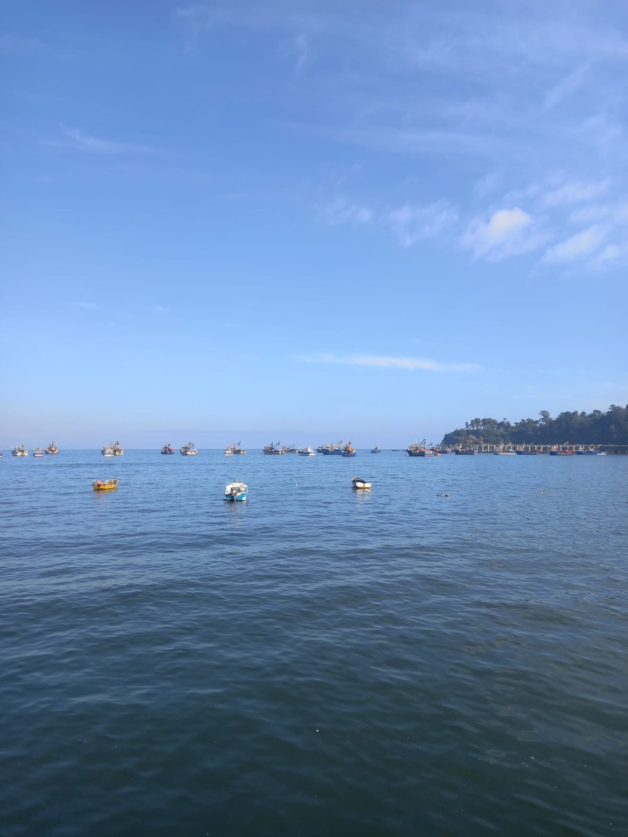 SAFA_IFOP's tweet photo. Recalada Río Jordan X, llegada Pesca de Investigación isla Mocha, proyecto SAFA 
#proyectoSaFa #pescadeinvestigación #islaMocha #sardinacomúnyanchoveta @gorebiobio @daroch06 @ifop_periodista @SubpescaCL @SSPABiobioNuble https://t.co/01IE6crS6v