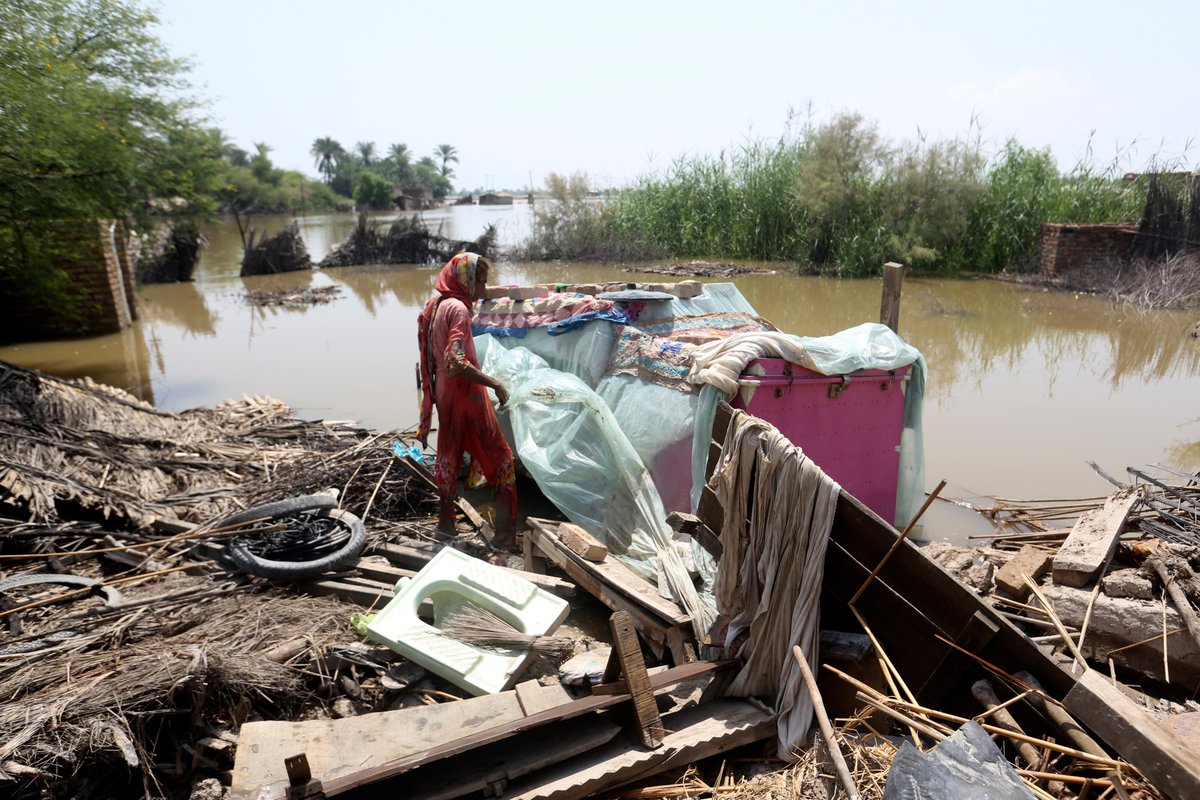 AJ+ (@ajplus) on Twitter photo Floods in Pakistan killed at least 1,191 people, including 380 children — one woman saw her grandchild swept away as she slept.
Rains are up to 28x above average.
Villages are still swamped. Officials say Pakistan is a "fully soaked sponge" with nowhere for water to go. Floods in Pakistan killed at least 1,191 people, including 380 children — one woman saw her grandchild swept away as she slept.
Rains are up to 28x above average.
Villages are still swamped. Officials say Pakistan is a "fully soaked sponge" with nowhere for water to go.
