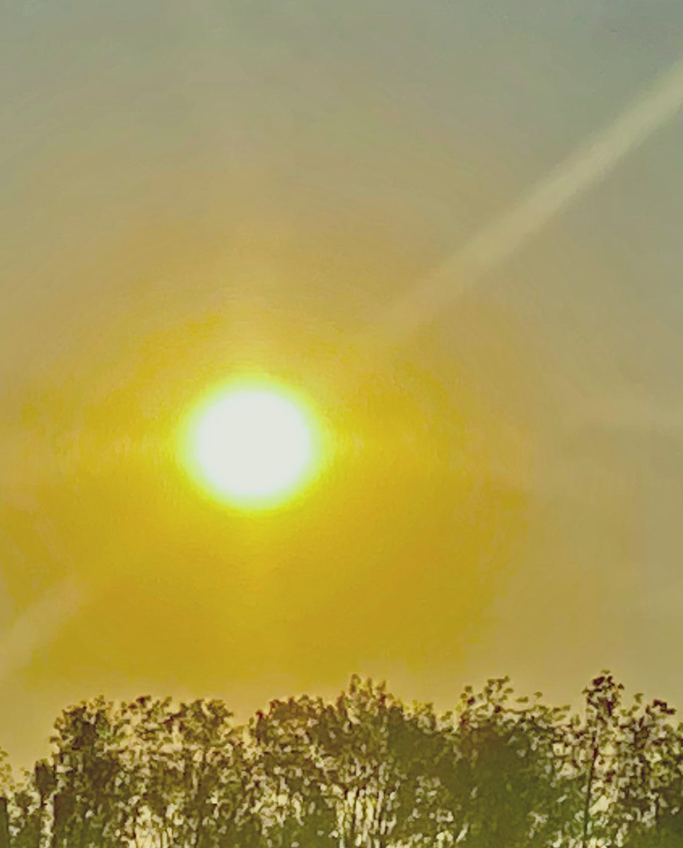 theygone238's tweet photo. Understand to their own
to be: heard, read or touchable,
possession is unreachable.
Truly, you are never alone.
#art
#poetry
#photography
#checkequipment
Means you also.
The space between you and me is just one to sun in. https://t.co/sCxEC9dj83