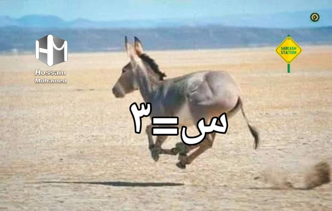 Sarcasm_Station's tweet photo. اذا ��ان س² = ٩ 
فإن س تساوي : https://t.co/xcp4kJ1QyL