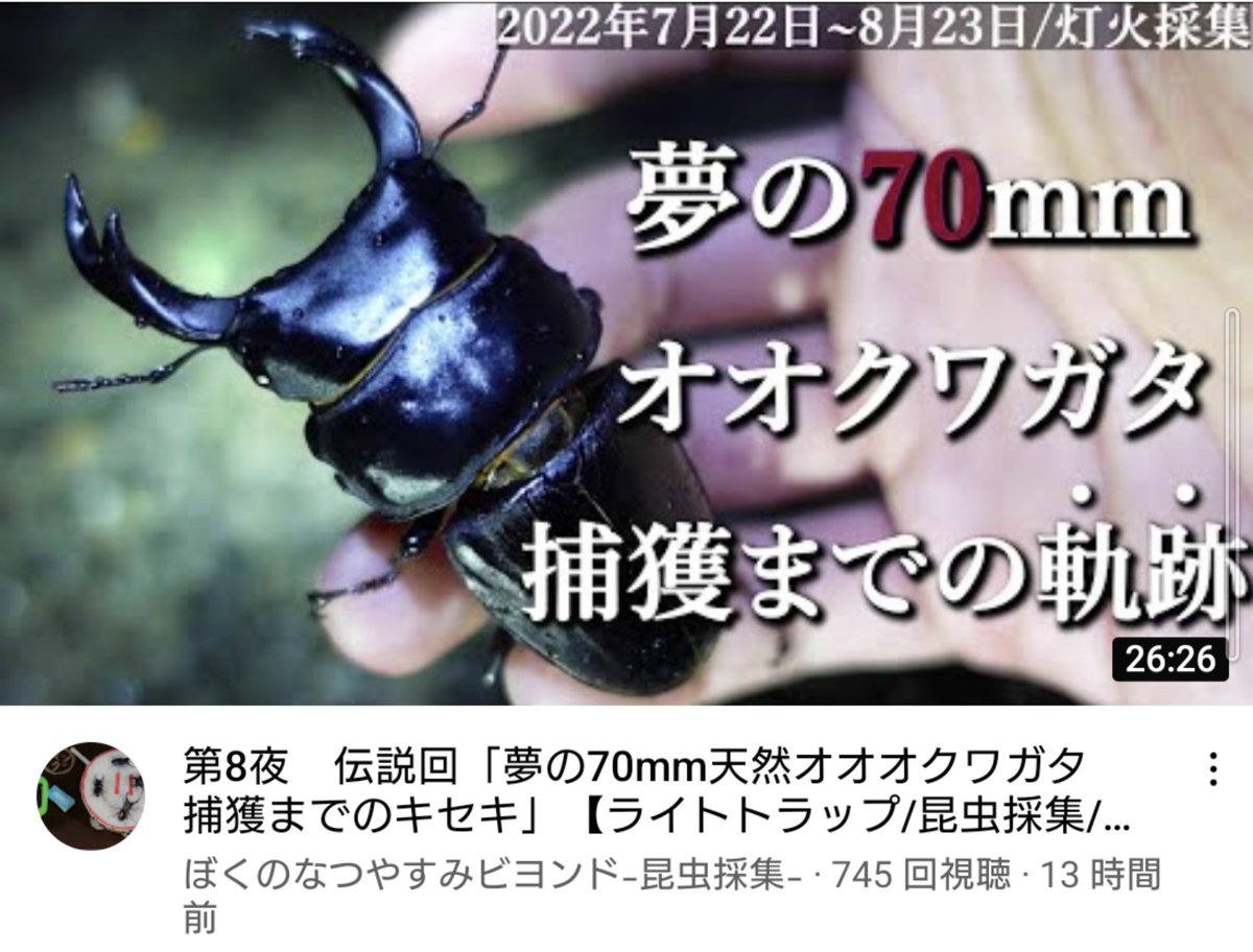 HID お手軽ライトトラップ クワガタ、蛾などに HID お手軽ライトトラップ クワガタ、蛾などに