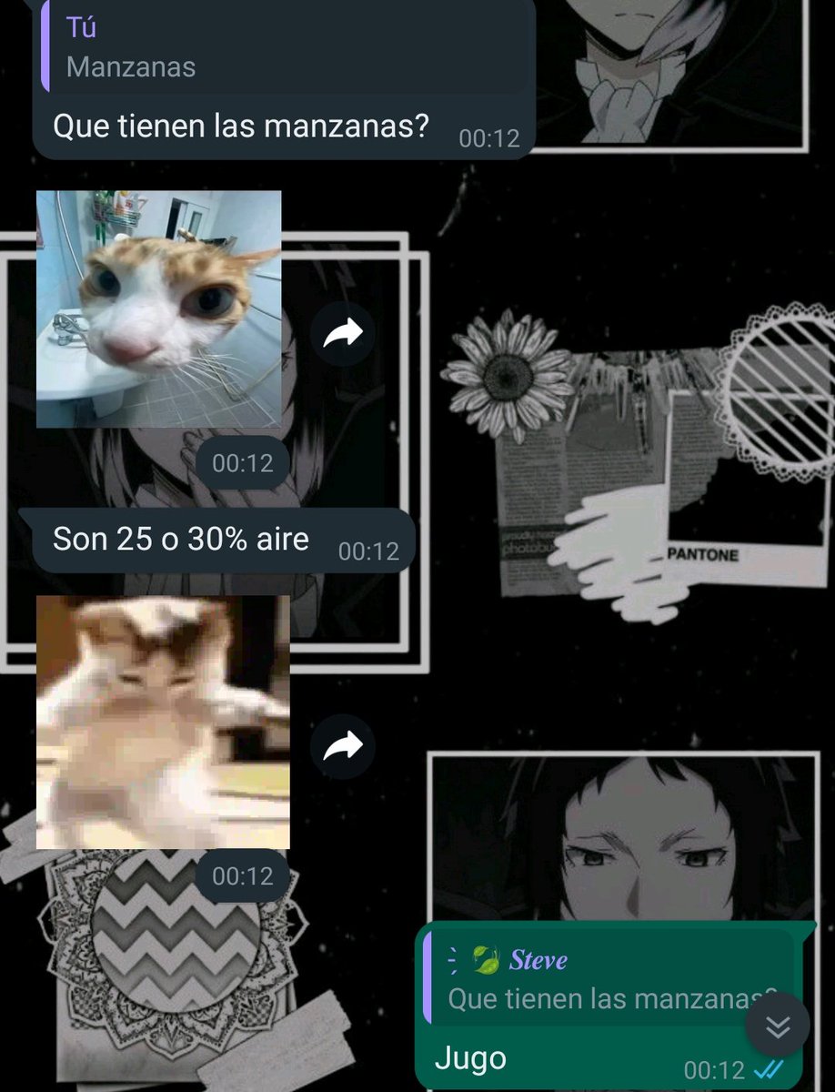 Haruka_3312's tweet photo. Todo comenzó cuando @0_shiby y yo estábamos hablando cosas random por privado y de la nada salió el tema de las "manzanas y manzanas trans" https://t.co/o6mOhK0OR4