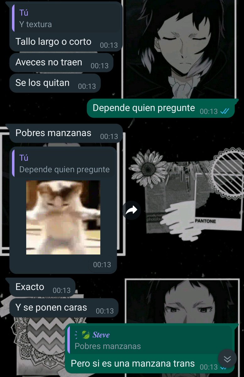 Haruka_3312's tweet photo. Todo comenzó cuando @0_shiby y yo estábamos hablando cosas random por privado y de la nada salió el tema de las "manzanas y manzanas trans" https://t.co/o6mOhK0OR4