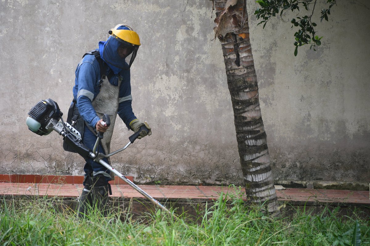 PZASAESP's tweet photo. 🌳PAZ DE ARIPORO S.A E.S.P a través del Grupo de Aseo, apoyó la  jornada de ornato, embellecimiento y pintura realizada en el Colegio ITENCA Sede Francisco Miranda Vereda Jaguito; la cual fue liderada por la @AlcaldiaPZA y la alcaldesa @EuniceEscobarB https://t.co/NfRCMFQgFJ