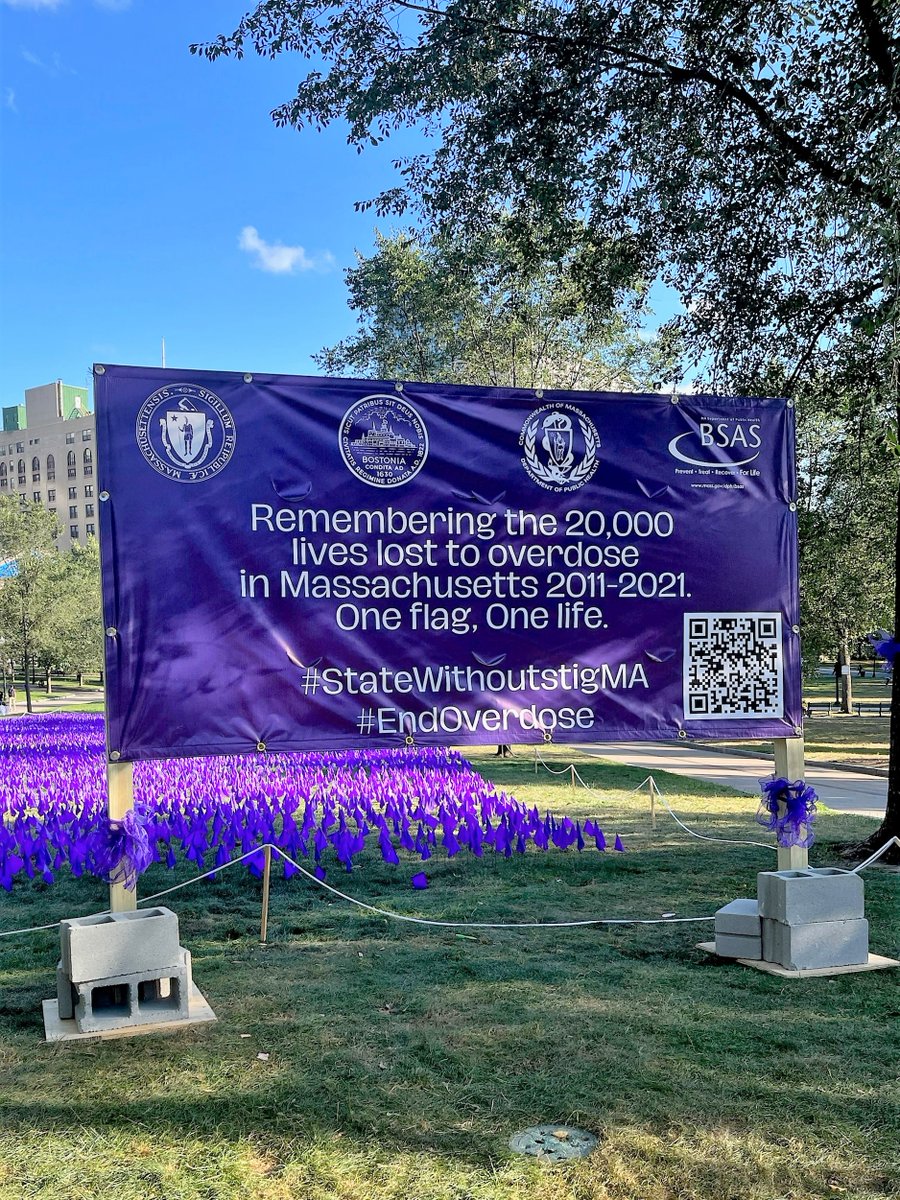 SenMikeMoore's tweet photo. Across from the State House, this display is a powerful reminder of the lives lost to overdoses in MA.

On this @OverdoseDay, I will continue to honor those we've lost and their loved ones by supporting a range of access to treatment and services.
#StateWithoutStigMA #EndOverdose https://t.co/R1PEccGJpS