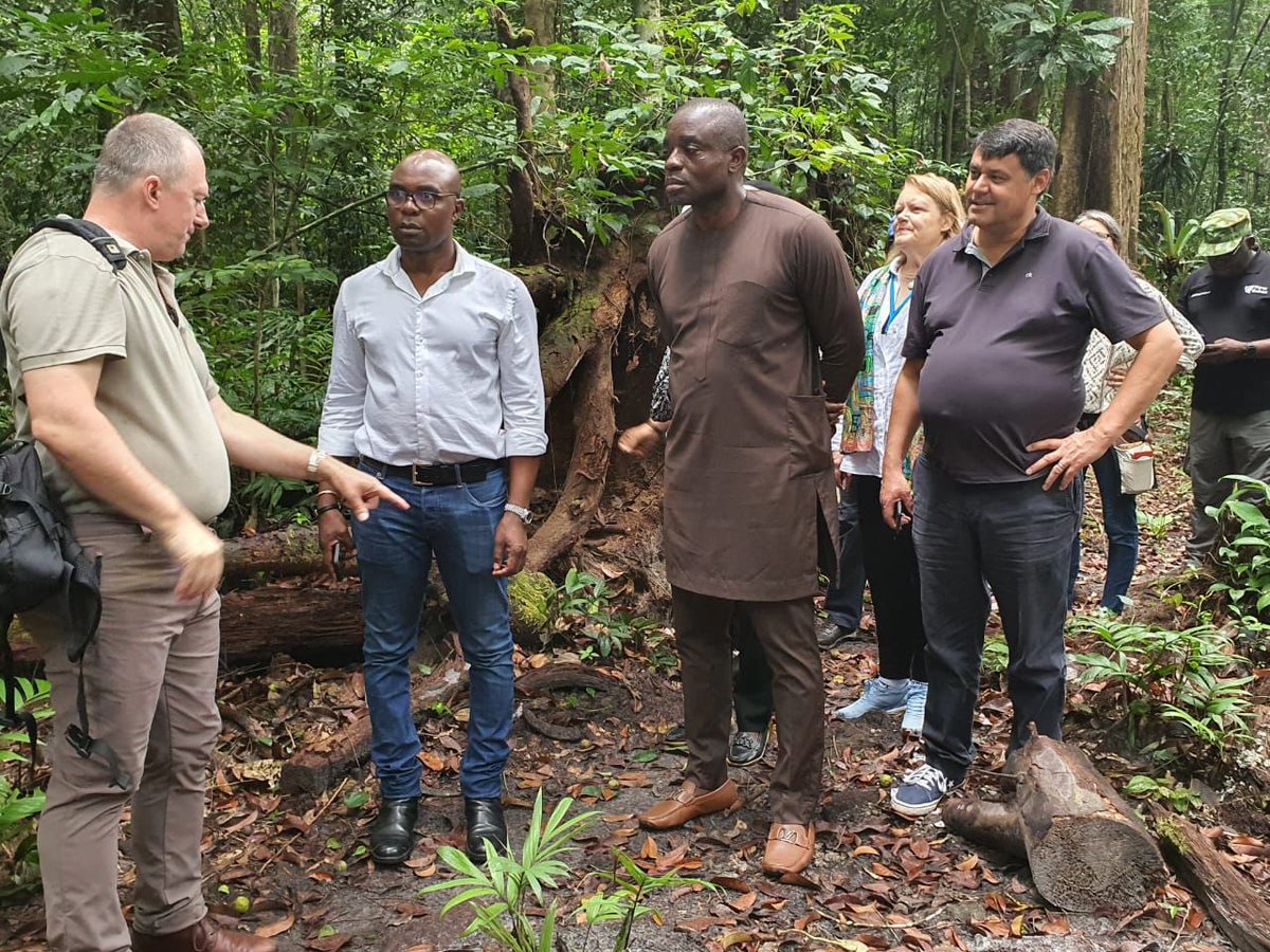 Early morning forest walk alongside other African Ministers of Environment, at the invitation of the Gabon Minister of Environment @LeeWhiteCBE