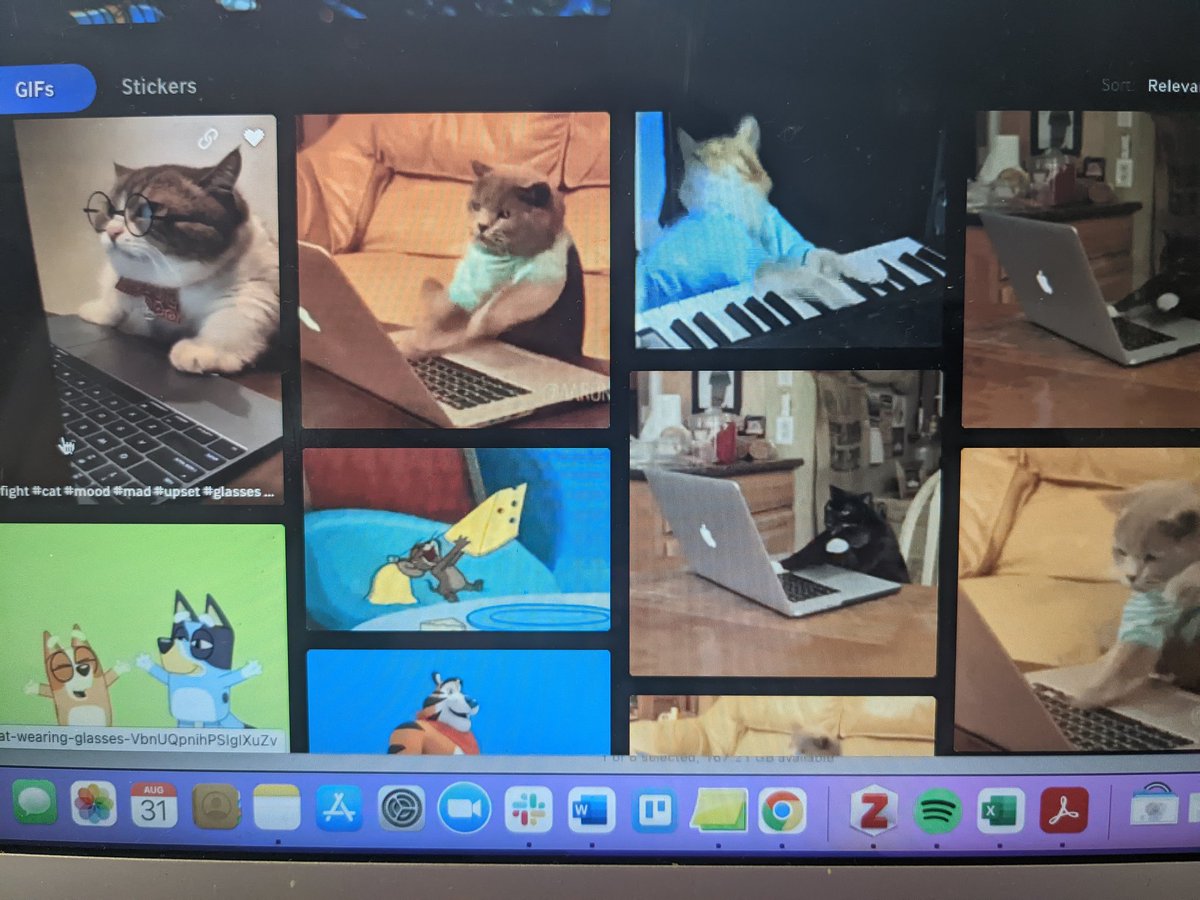 rukminia25's tweet photo. I am serious when I say gifs are an important part of my teaching 🤟 #CoursePrep #FallSemesterStarts #CI3342 #CI4312 #SoExcited https://t.co/uMf7dsGLQb