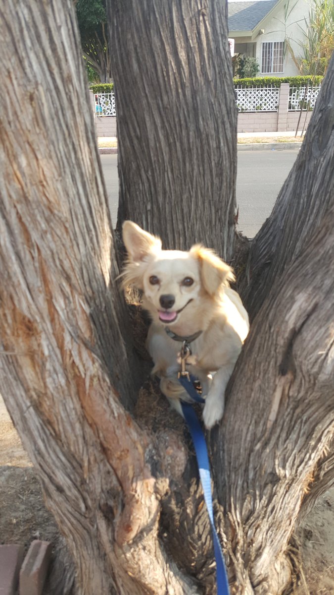 @nathaliejacoby1 Alaska