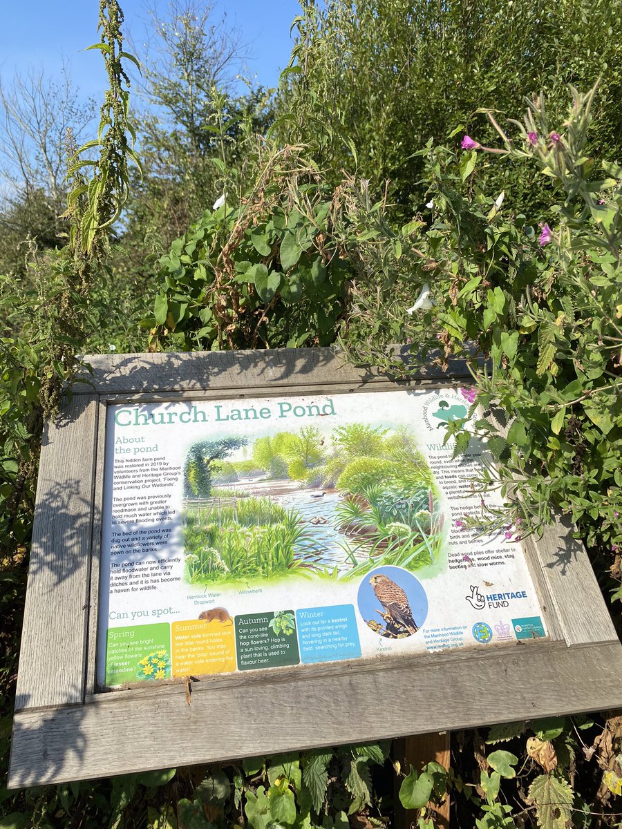 CDesignWild's tweet image. Spotted 1 of the 10 boards I designed for local wildlife group @mwhgpage recently. Such a privilege to communicate nature conservation projects like this 💛
