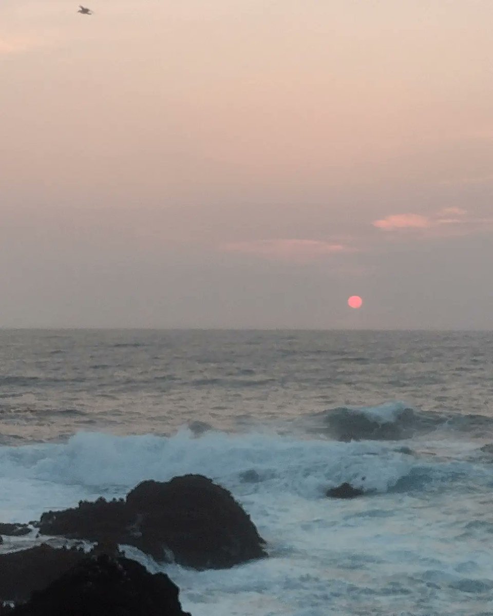 🍃 Isla 🔻 tweet media