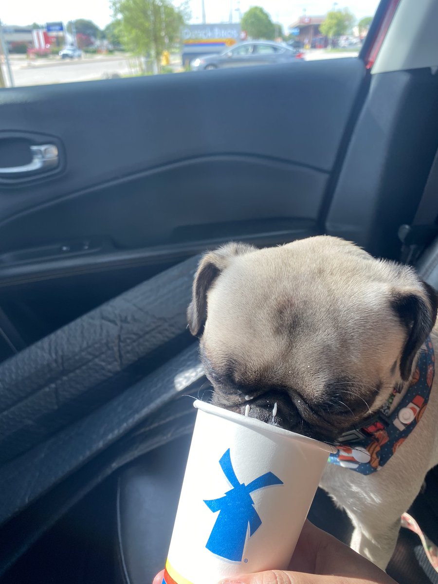 SoleilynA's tweet photo. @DutchBros https://t.co/fdJkru3Z29