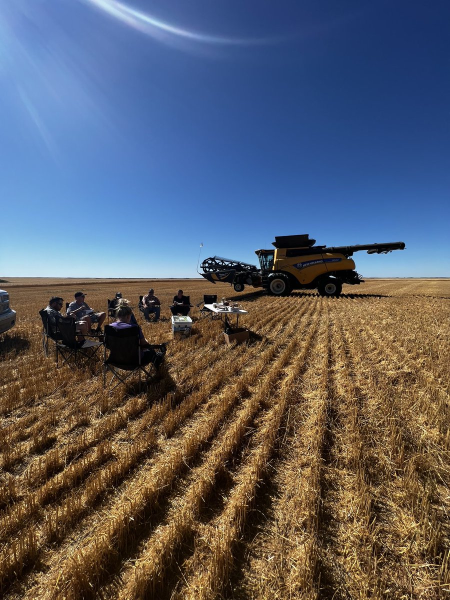 EBourassaSons's tweet photo. Nothing beats a good harvest lunch or supper in the field 🌾 #harvest2022 #mealinthefield #newhollandagriculture
—
Shoutout to Hannigans Grove in Radville for the delicious chicken dinner 🍗 https://t.co/QUpPugV2uz