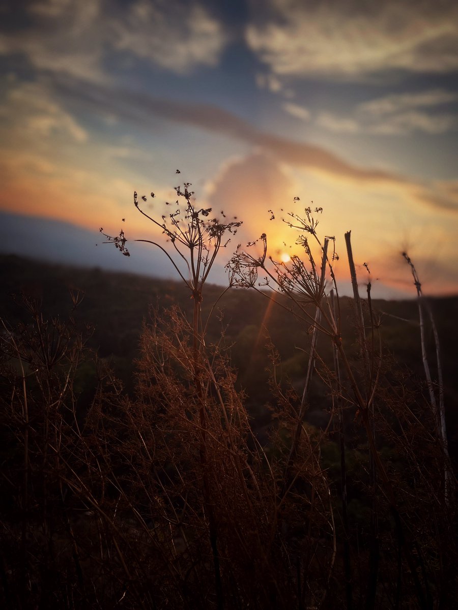 christindim's tweet photo. Разходих се по залез.
Есенно, спокойно и тихо.
Любов
#onlymobile
#photobyme https://t.co/hhEYd4ySDC