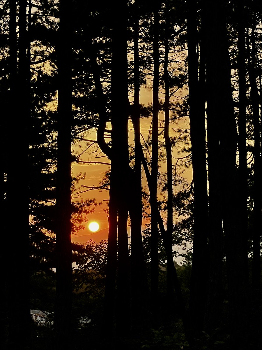 christindim's tweet photo. Разходих се по залез.
Есенно, спокойно и тихо.
Любов
#onlymobile
#photobyme https://t.co/hhEYd4ySDC