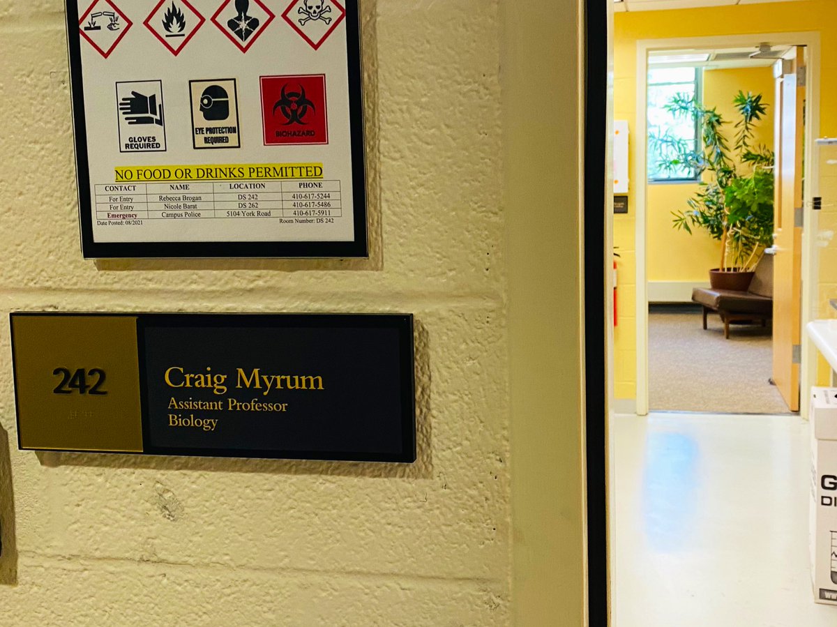 CraigMyrum's tweet photo. It’s a very exciting time—next week is my first week of class as Assistant Professor of Biology at #loyolauniversitymaryland ‼️ https://t.co/mcrHu9X1s8