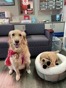 Long Meadow Hares tweet media