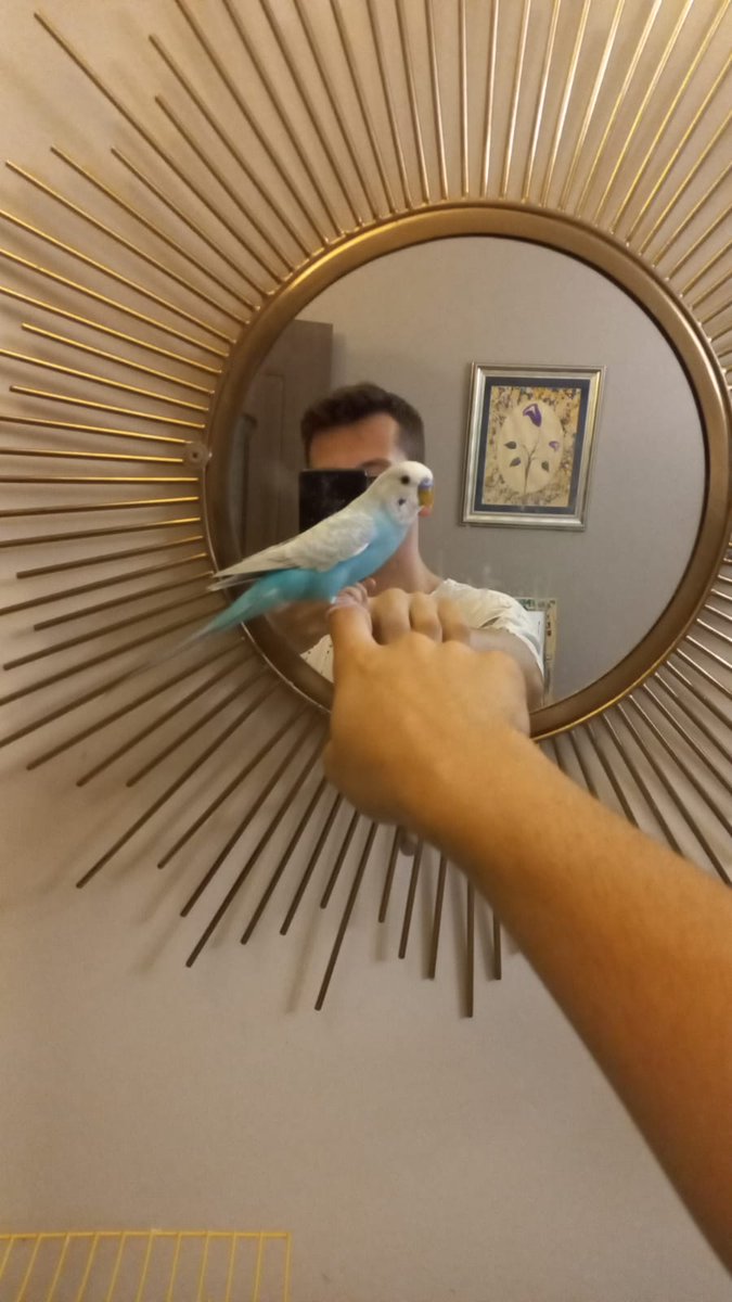 +Say my name...
-Cicikuş.
+You're god damn right.