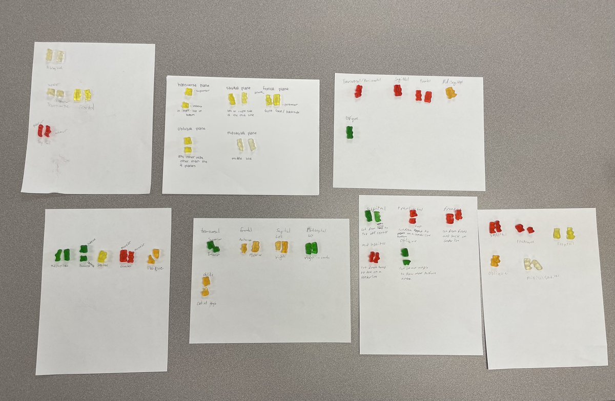 Gummy bear cadavers! 
Anatomy/Physiology class learning about Anatomical Planes.
