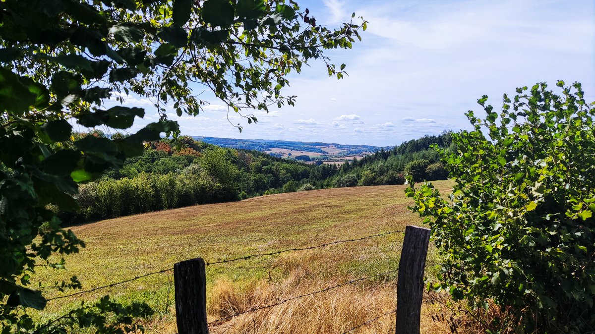 EmilieMontreal's tweet photo. Deux villages de la commune de Marche-en-Famenne ne sont pas situés en ... #Famenne ! Roy et Grimbiémont sont paisiblement installés au tout début de l'#Ardenne 😉
#visitwallonia #naturelovers 💚 https://t.co/3PRqwqMQm0
