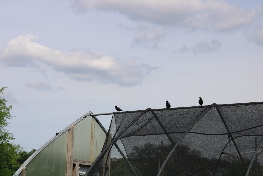 LandHealth Institute tweet media