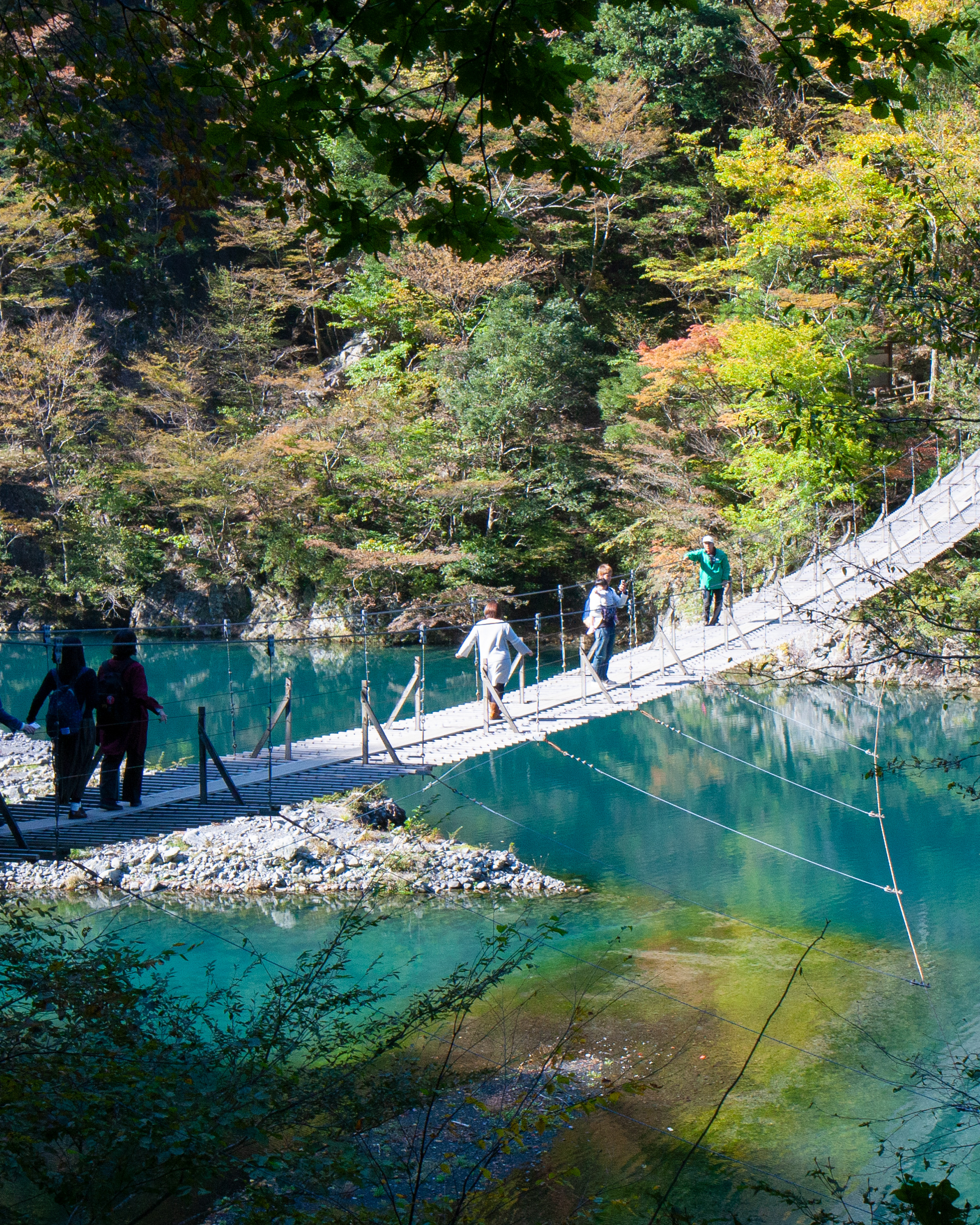 静岡旅行 Twitter Search Twitter