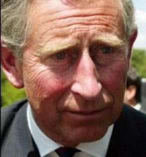 NoContextBrits's tweet image. Remember Dobby from Harry Potter? This is him now. Feel old yet?